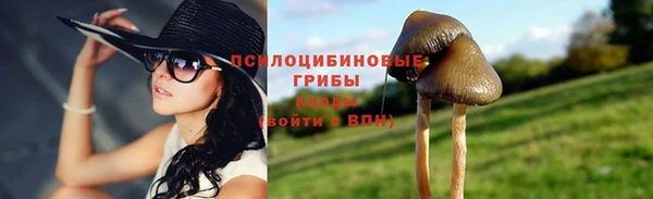 дживик Армянск