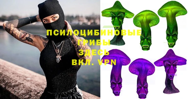 дживик Армянск
