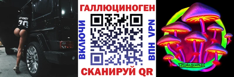 Галлюциногенные грибы Psilocybine cubensis  Родники 